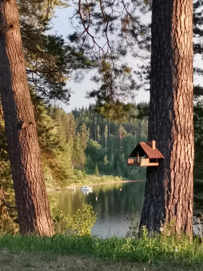 Apartmán Vuori Camp By Saimaa Vuoriniemi Exteriér fotografie